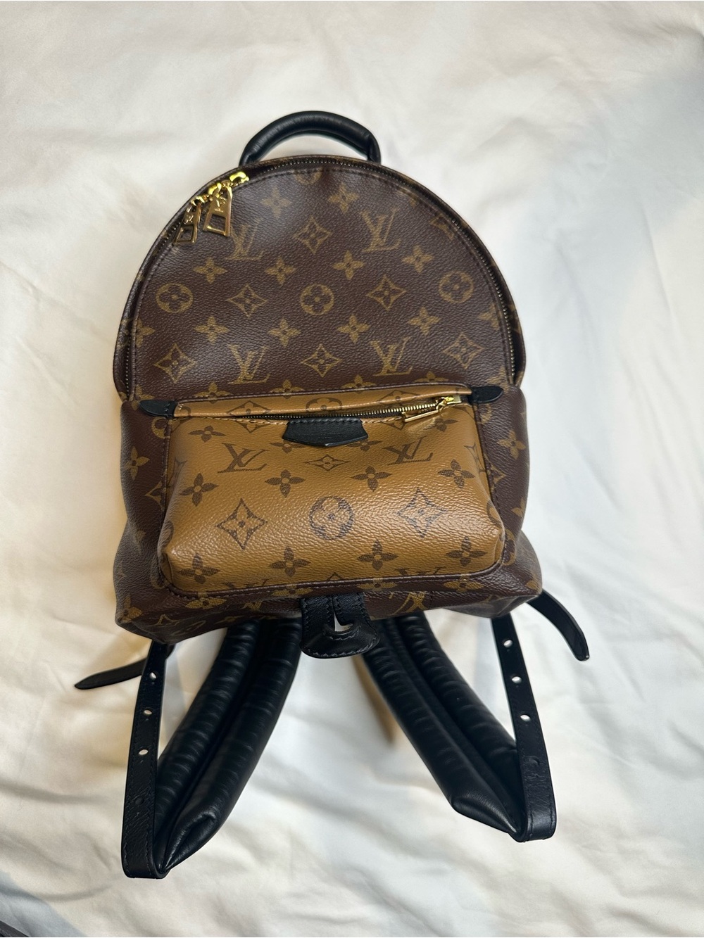 Louis Vuitton Palm Springs PM Backpack